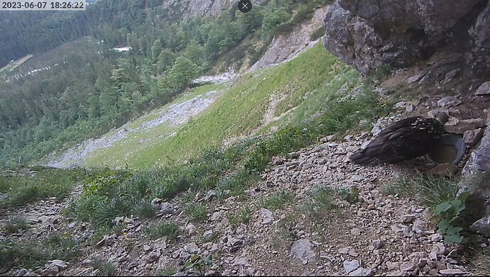 Snap_2023.06.07_18h26m53s_015_