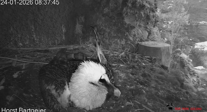 M schaltet ab 24.01.26