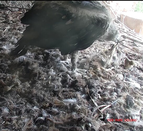 Screenshot_20240429-152259~2