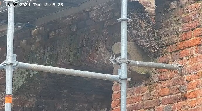 Screenshot_20240516_124549_YouTube