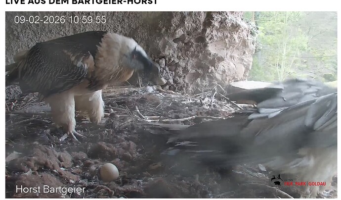 Screenshot_20260209-110059~2