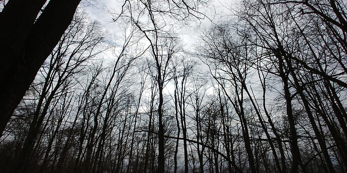 20230212_114055_HDR