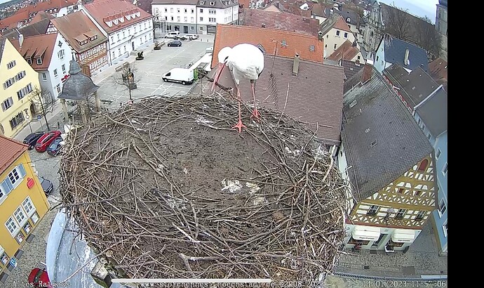 Bild