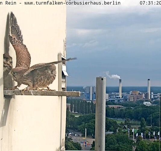 VideoCapture_20240615-074325