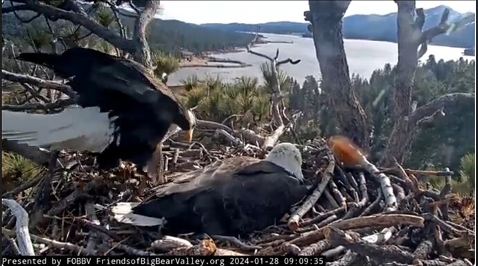 Screenshot_20240128_215705_YouTube