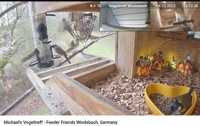 Screenshot_20251214-151401~2