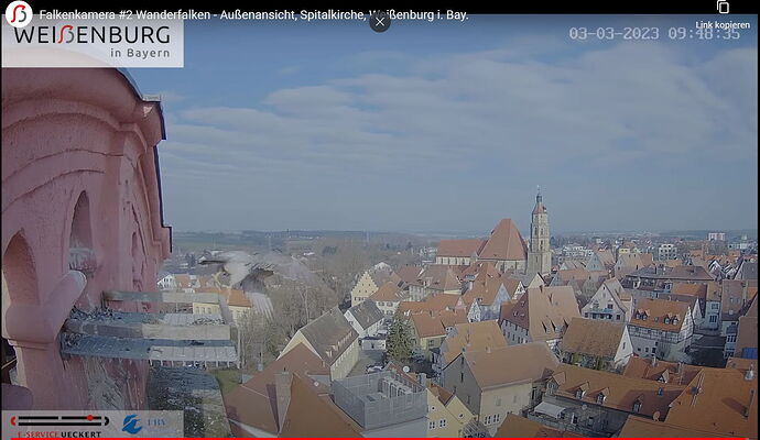 Snap_2023.03.03_09h52m30s_014_