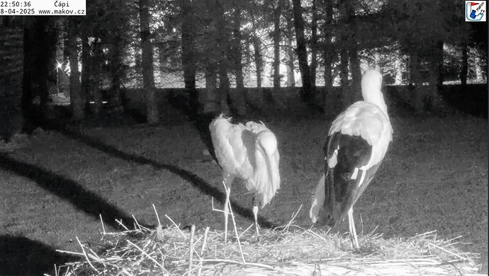 Screenshot_2025-04-09-07-50-08-927_com.google.android.youtube