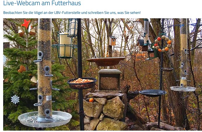 Screenshot 2022-12-22 155350 FC