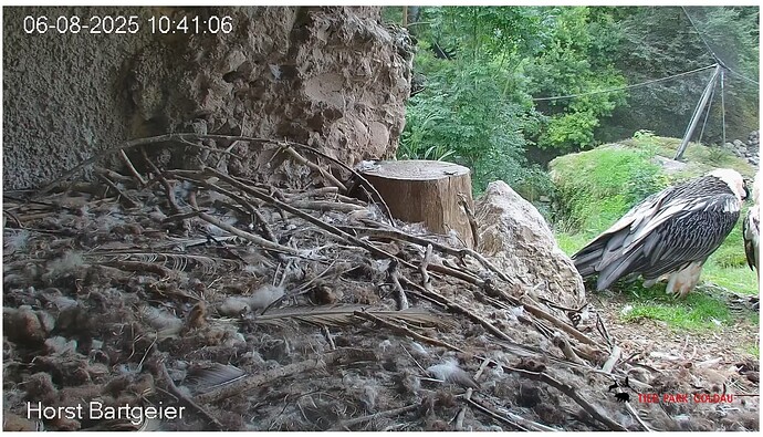 Screenshot_20250806-104212~2