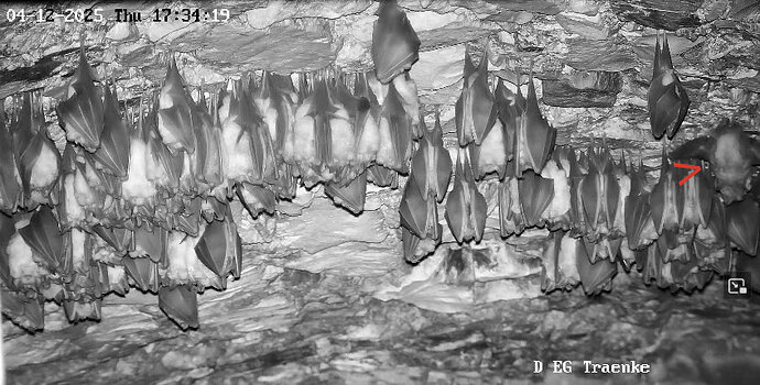 4 Vollbildaufzeichnung 04.12.2025 173430