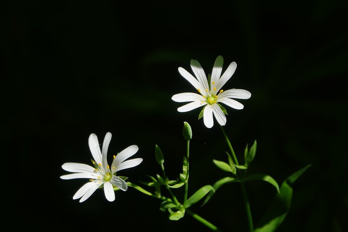 DSC08122