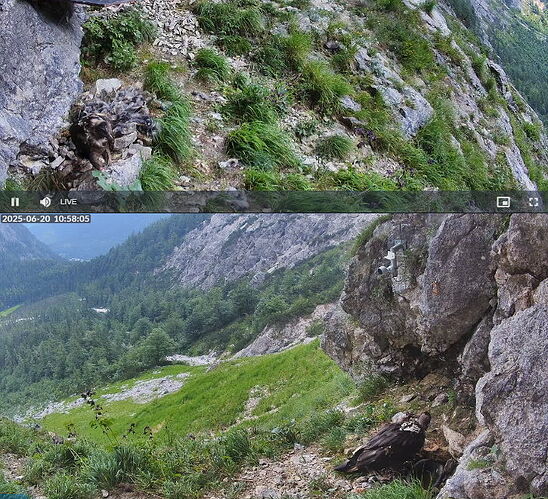 Snap_2025.06.20_10h58m33s_020_