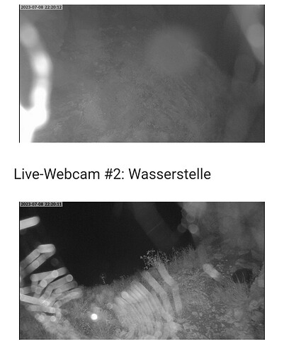 Screenshot_20230708-222040_Chrome