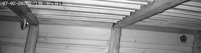 2026-02-7_3 ab 15.00  vier Hufi in WG