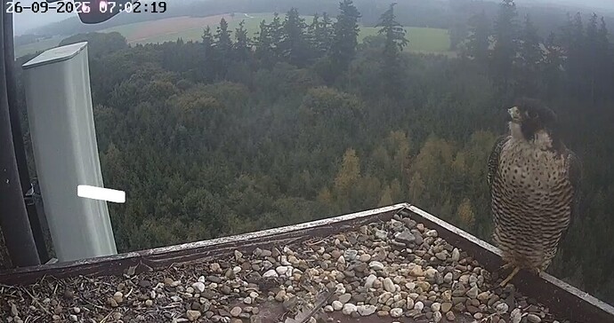 Screenshot_20250926_070257_Chrome