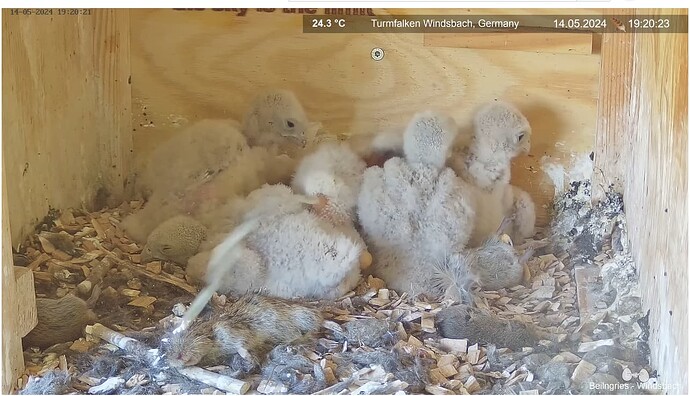 Screenshot 2024-05-14 200443