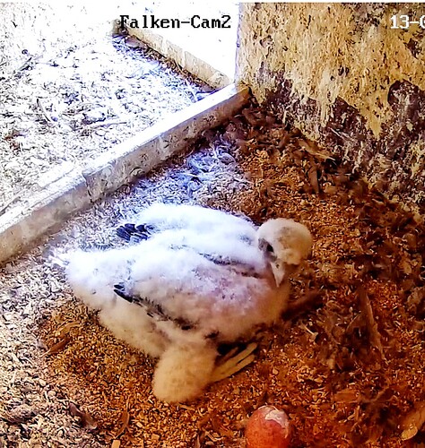 Screenshot_20230513-201657-01