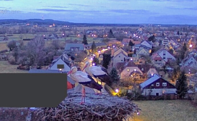 Screenshot_2026-02-12-07-03-31-477_com.android.chrome~2