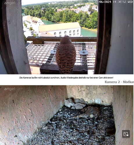 Snap_2024.06.19_14h39m29s_004_