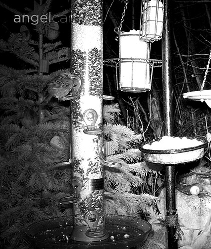 Screenshot_20221223_063709_Samsung Internet