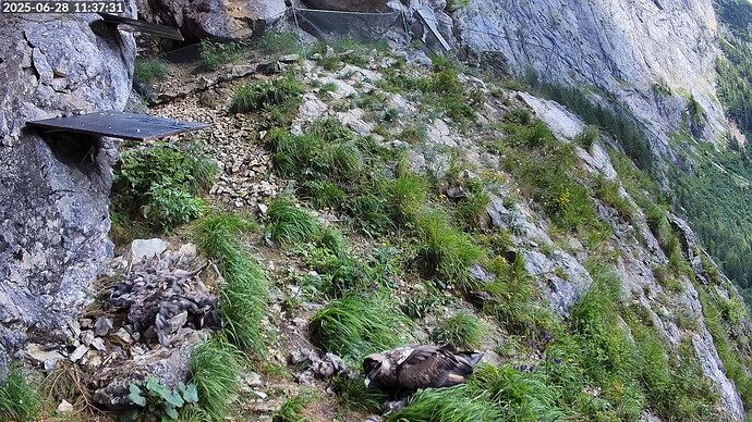 Bildschirmfoto vom 2025-06-28 11-37-58