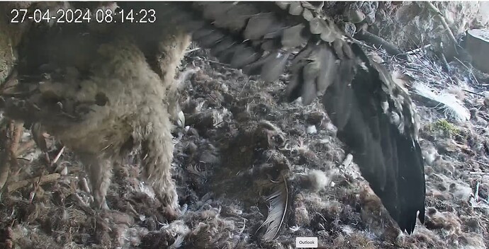 Platzprobleme 27.04.24