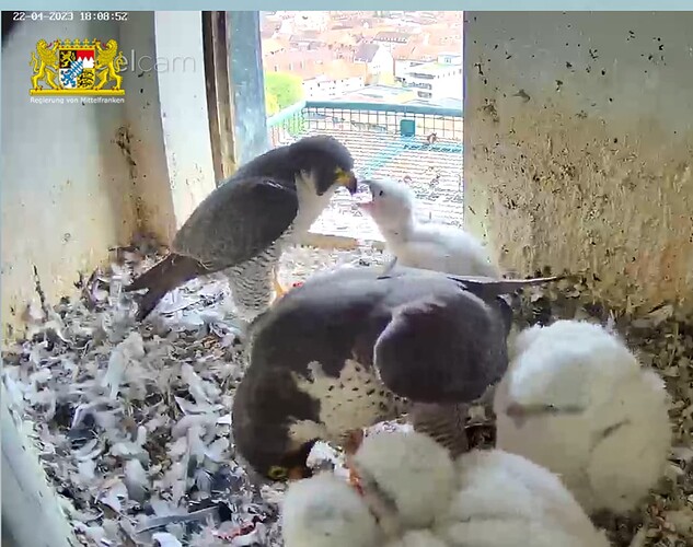 Capture+_2023-04-22-18-09-20(1)