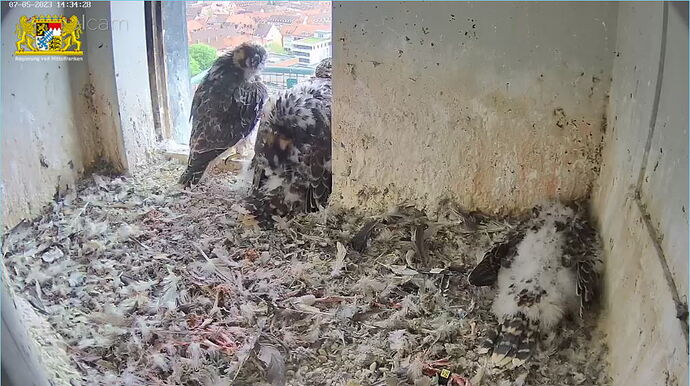 Snap_2023.05.07_14h34m57s_001_