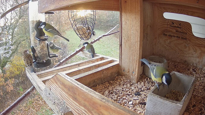 tf-20251114-074642-1763102802137-7.mp4_snapshot_01.00.327