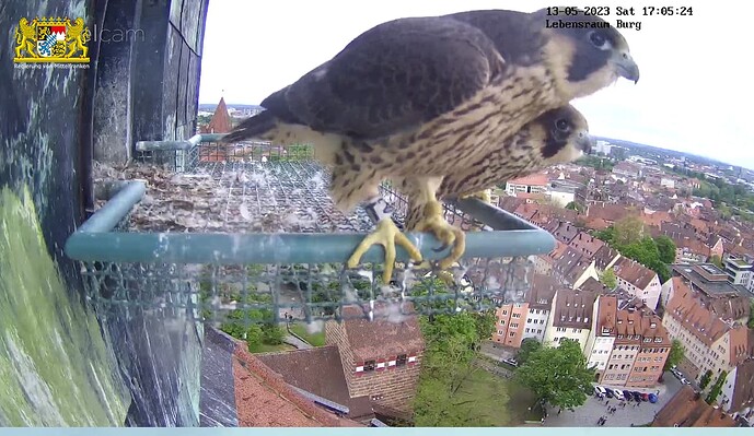 Screenshot_20230513-170547~2