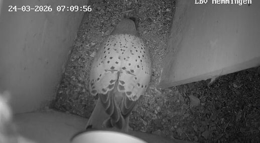 Snap_2026.03.24_06h13m50s_001_