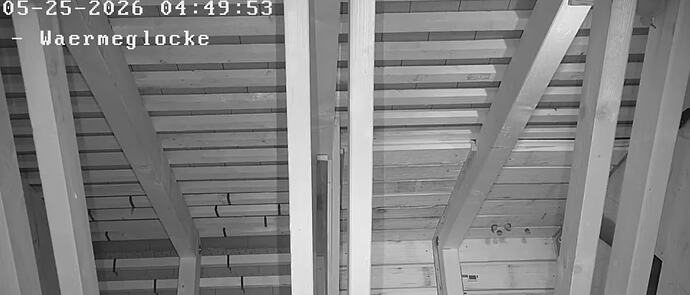 2026-05-25_1a  vier Kleine Hufis in WG