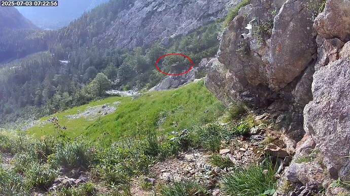 Bildschirmfoto vom 2025-07-03 07-23-21