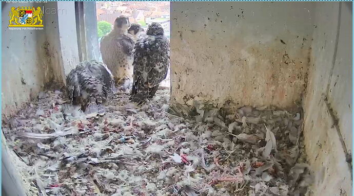 Snap_2023.05.10_07h25m02s_004_