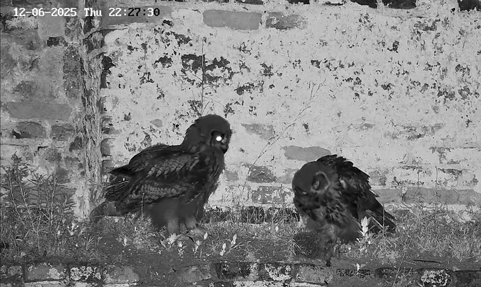 Screenshot_20250612_233450_YouTube