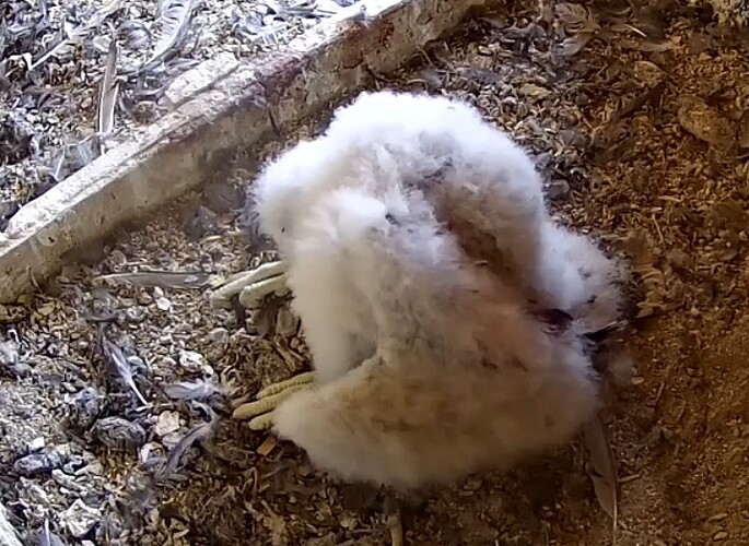 Screenshot_20230515-183143-02