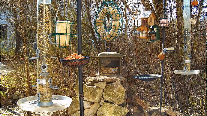 Snap_2023.03.02_12h06m49s_012_