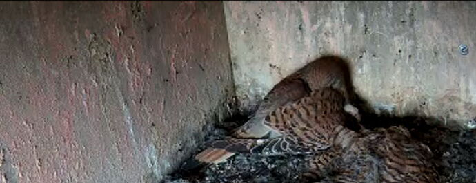 Snap_2024.06.14_12h45m47s_003_