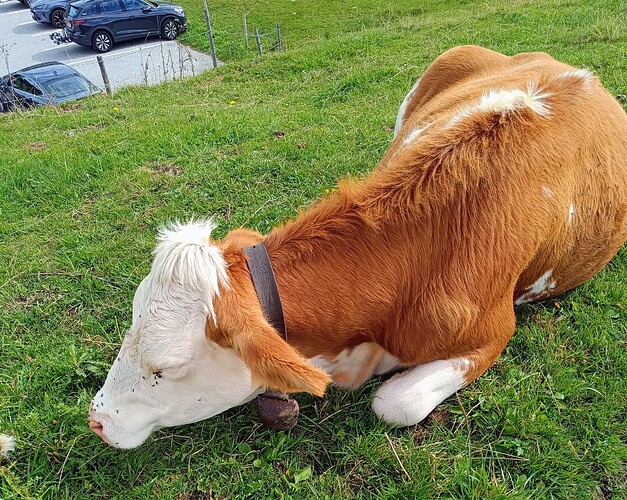 IMG_20250908_111112~2