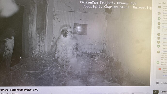 PHOTO-2024-11-06-11-08-49