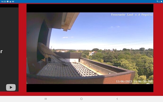 Screenshot_20230613-163327_Chrome