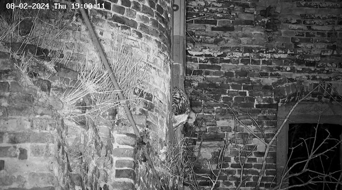 Screenshot_20240208_190029_Chrome