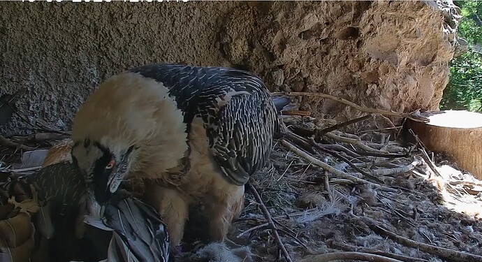 H verwöhnt M 19.09.25