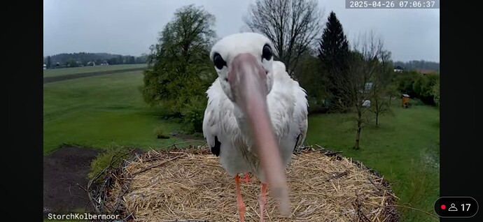 Screenshot_20250426_090032_YouTube