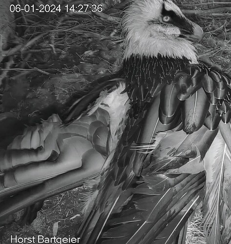 Screenshot_2024-01-06-14-29-34-259_com.android.chrome