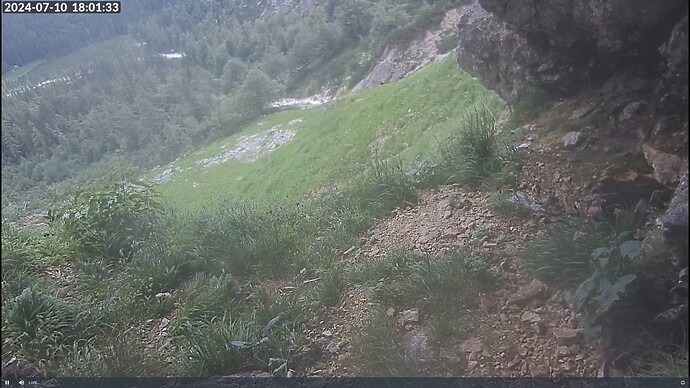 Screenshot (60)