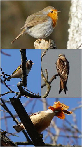 20260320_162338-COLLAGE