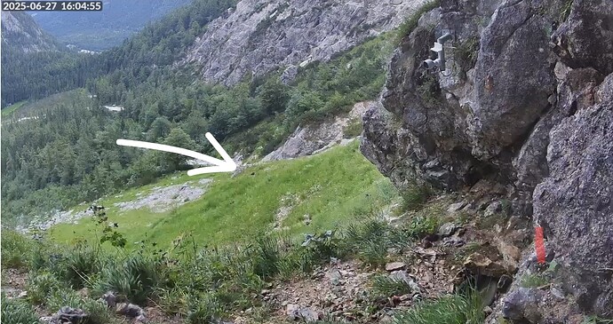 Screenshot_20250627_160545_Samsung Internet