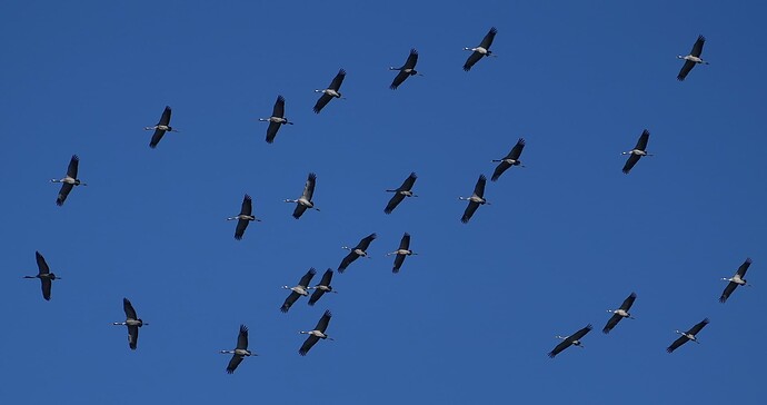 DSC03088